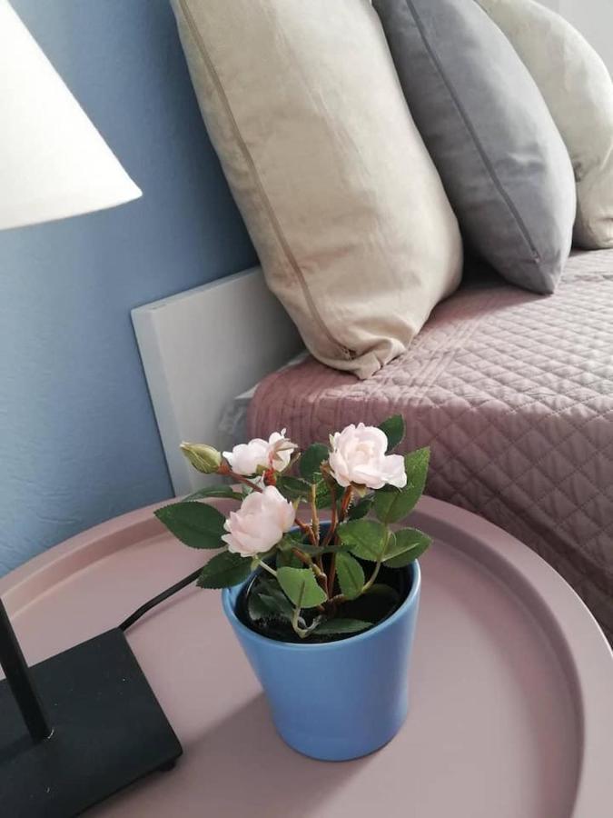 The Rose Apartment Volos Esterno foto